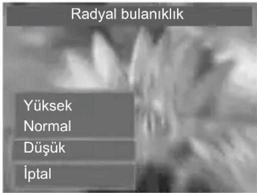 Radyal bulanıklık Yüksek Normal Düşük İptal