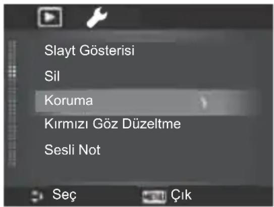 Slayt Gösterisi Sil Koruma Kırmızı Göz Düzeltme Sesli Not Seç Çık