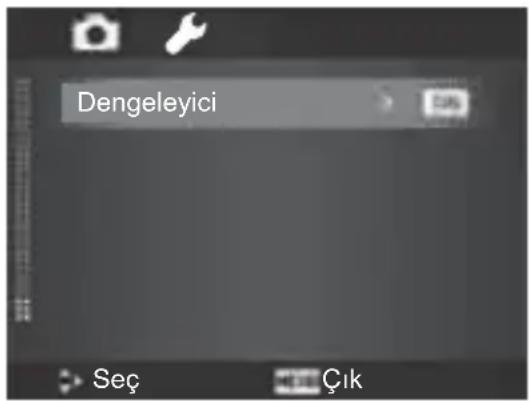 Dengeleyici Seç Çık