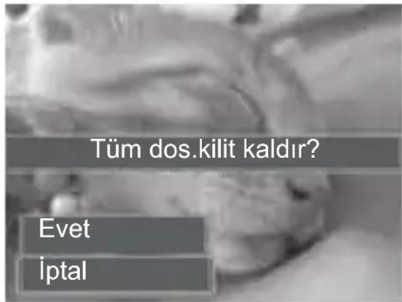 Tüm dos.kilit kaldır? Evet İptal