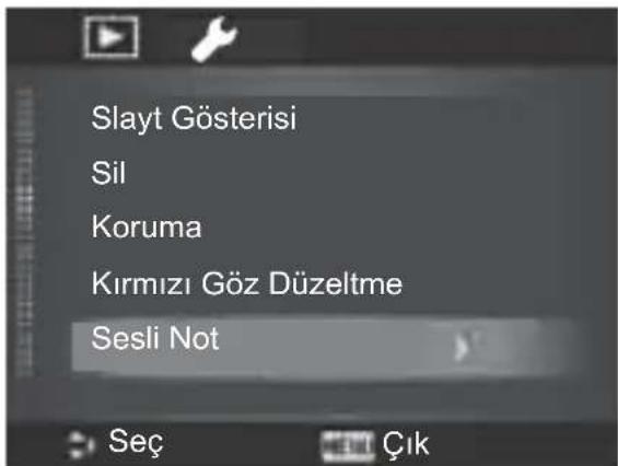 Slayt Gösterisi Sil Koruma Kırmızı Göz Düzeltme Sesli Not Seç Çık
