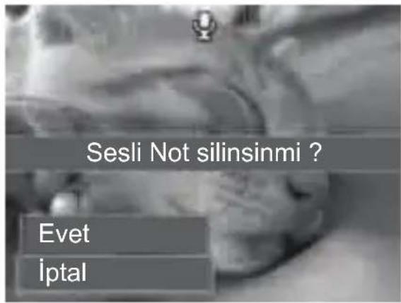 Sesli Not silinsinmi ? Evet İptal