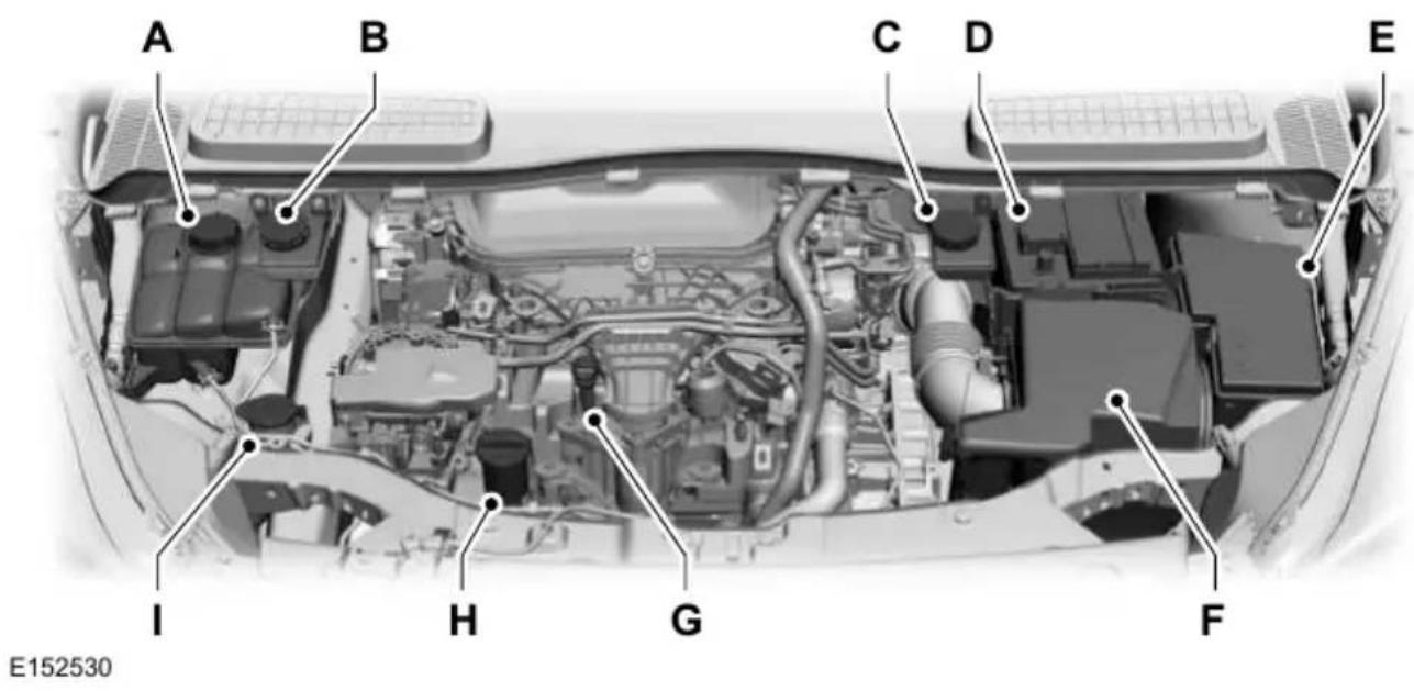 FORD Kuga (2015) - MOTOR BÖLMESİNE GENEL BAKİŞ-2.0LDURATORQ-TDCİ (DW) DİZEL - 1