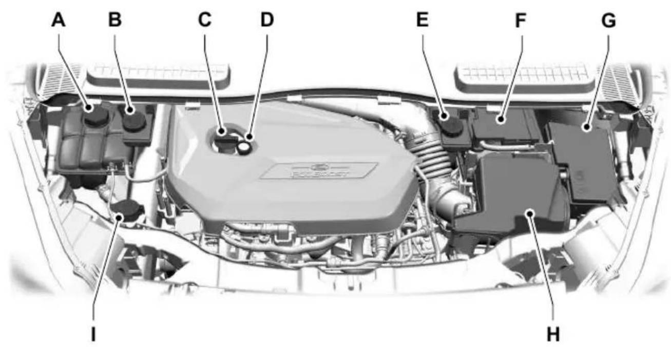 FORD Kuga (2015) - MOTOR BÖLMESİNE GENEL BAKİŞ-1.6LECOBOOST™ - 1