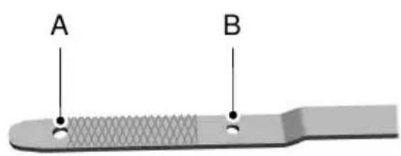 A B