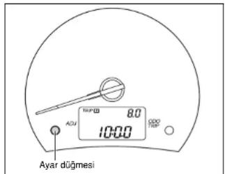 AYAR DÜGMEŞI 8.0 10:00 ADU TRIFID ODD REF.