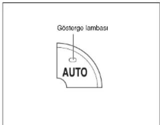 Göstergo lambasi AUTO