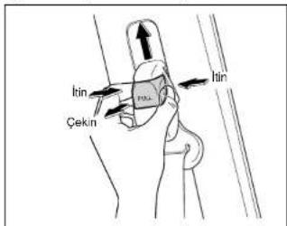hin Çekin hin