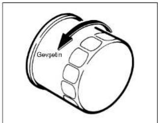 Gevseln