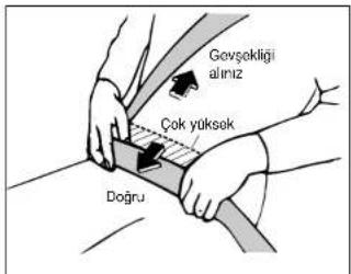 Govsekligi alınız Çok yüksek Doğru
