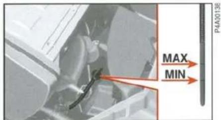 P4A00136 MAX MIN