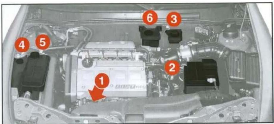 FIAT Bravo (2000) - SEVIYE KONTROLLERİ - 4