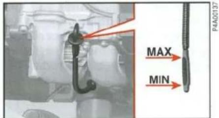 PAA00137 MAX MIN