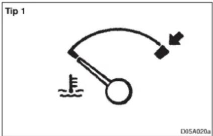 Tip 1 D05A020a