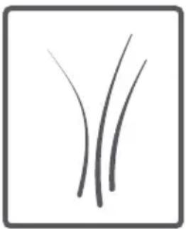 Finlux FXW 8121M - Tambur - 9