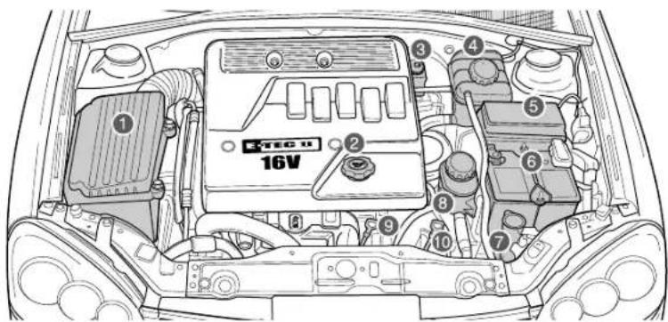 ① ② ③ ④ ⑤ ⑥ ⑦ ⑧ ⑨ ⑩ ⑪ ⑫ ⑬ STEC U 16V
