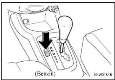 (Benzin) N4W3184B