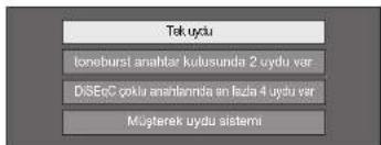 Tek uydu toneburst anahtar kultusunda 2 uydu var DISeC çokla anahtlermla en fuzla 4 uydu var Musterek uydu sistemi