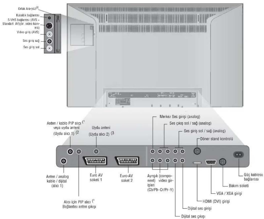 LOEWE Concept L 26 - Arka panel bağlantıları Individual 26/32 - 1