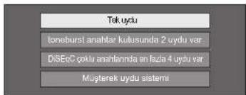 Tek uydu Ioneburst anahtar kultusunda 2 uydu var DISEcG çokla anahtendra en fazla 4 uydu var Müsterek uydu sistemi