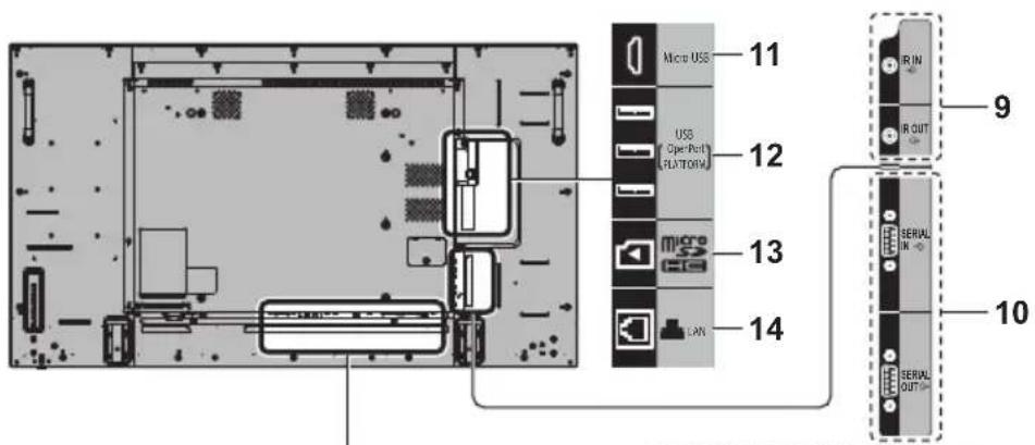 PANASONIC TH-49AF1W - Video ekipmanı bağlantısı - 1