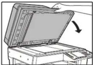 SHARP AR-6023N - Belge kapağını/RSPF'yi kapatın. - 1