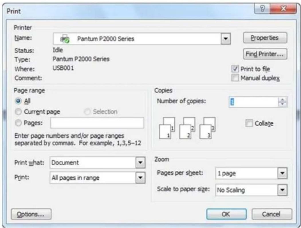 PANTUM P2000 - Windows ile bir belgeyi yazdırmak için - 1