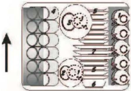 SILVERLINE BM 9111 - Üst Rafin Doldurulması - 1