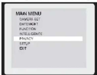 MAIN MENU CAMERA SET DAY & NIGHT FUNCTION INTELLIGENCE PRIVACY SETUP EXIT