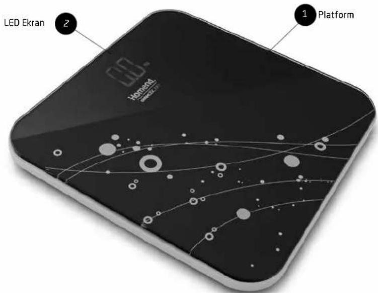 Homend Gramatic 3901 - 3