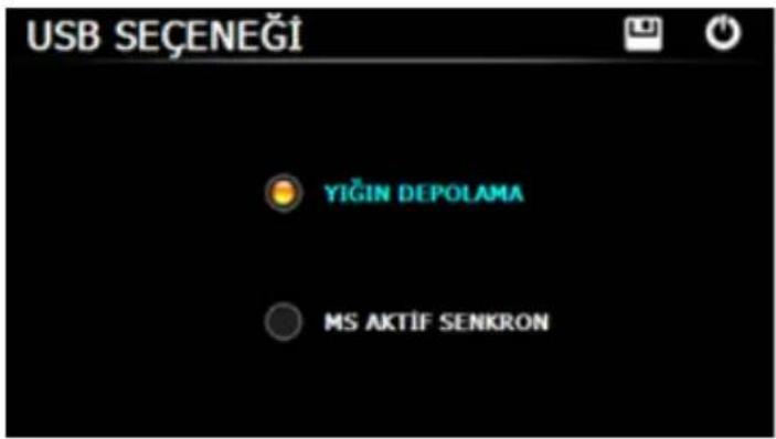 USB SEÇENEĞİ YIĞIN DEPOLAMA MS AKTİF SENKRON