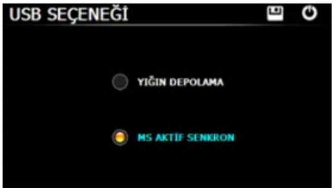 USB SEÇENEĞİ YIĞIN DEPOLAMA MS AKTİF SENKRON