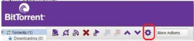 BitTorrent™ Torrents (1) Downloading (0) More Actions