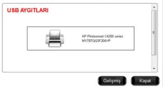 USB AYGITLARI HP Photosmart C4200 series MY7BTQ03F204VP Gelişmiş Kapat