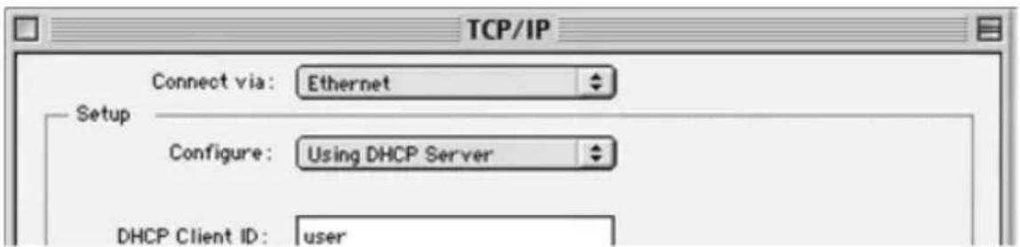 TCP/IP Connect via: Ethernet Setup Configure: Using DHCP Server DHCP Client ID: user