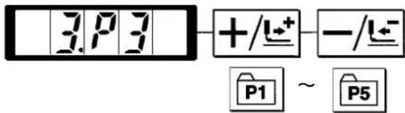 3.P3 +/L+- -/L- P1 ~ P5