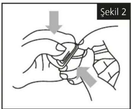 Şekil 2