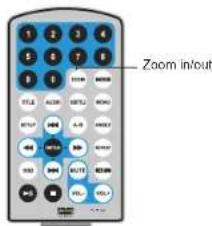 Zoom input