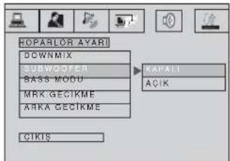 Arçelik DVD-2006 - SUBWOOFER: - 1