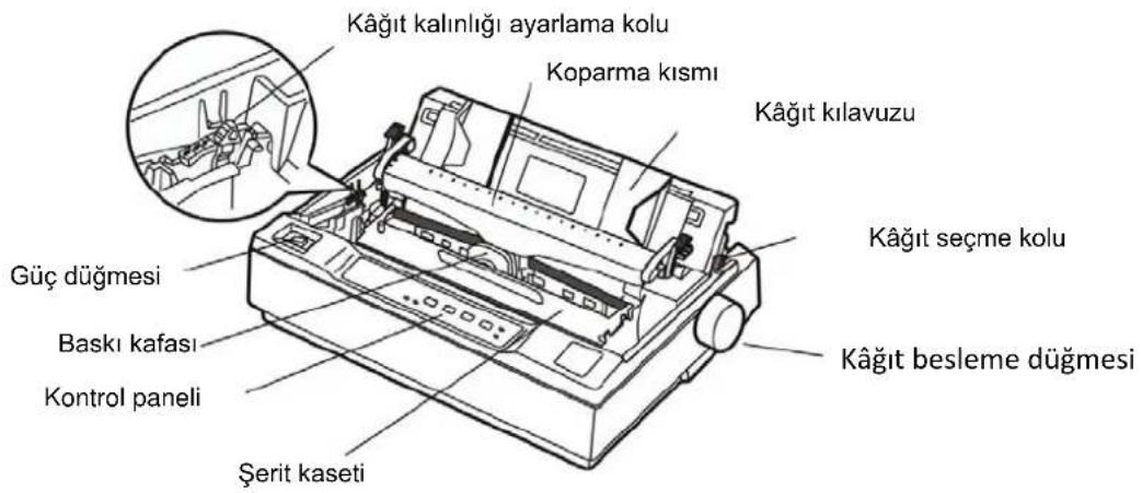 Kâğıt kalınlığı ayarlama kolu Koparma kısmı Kâğıt kılavuzu Güç düğmesi Baskı kafası Kontrol paneli Şerit kaseti Kâğıt seçme kolu Kâğıt besleme düğmesi