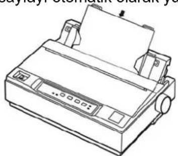 Jolimark DP321 - Tekli Sayfalara (Yaprak Sayfalara) Yazdırma - 5