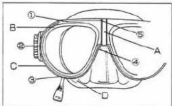 Anatomical diagram of a human eye with labeled parts including iris, pupil, and eyelid
