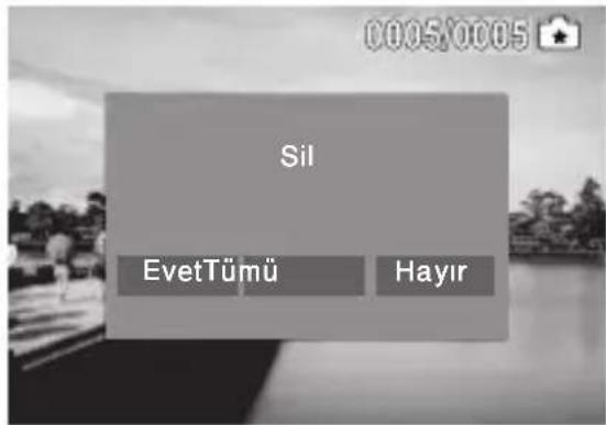 0005/0005 Sil EvetTümü Hayır