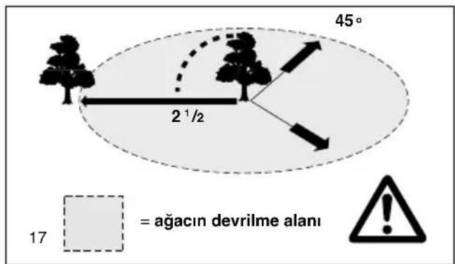 45° 2¹/₂ 17 = ağacın devrilme alanı