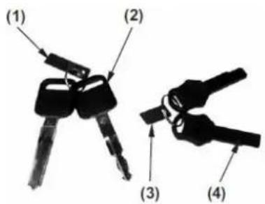 (1) (2) (3) (4)