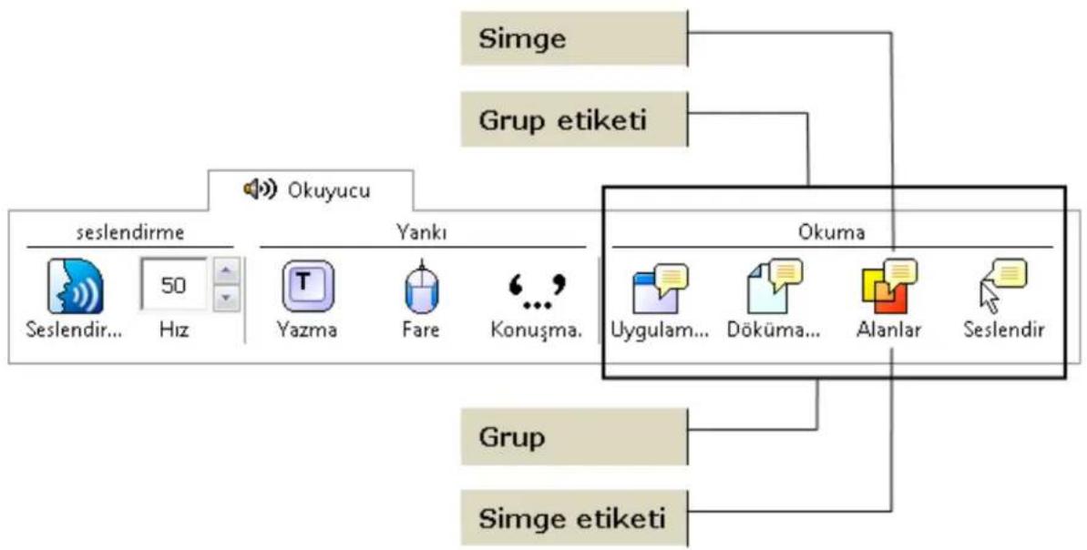 ZoomText 10 - Okuyucu Araç Kutusu - 1