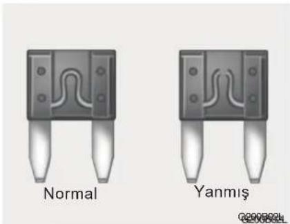 Normal Yanmış