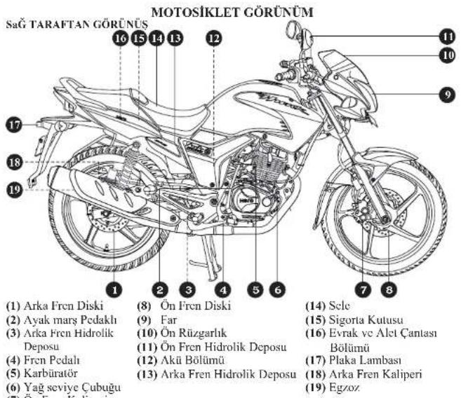 MOTOSİKLET GÖRÜNÜM Sağ TARAFTAN GÖRÜNÜS (1) Arka Fren Diski (2) Ayak mars Pedaklı (3) Arka Fren Hidrolik Deposu (4) Fren Pedalı (5) Karbüratör (6) Yağ seviye Çubuğu (7) Ön Fren Kaliperi (8) Ön Fren Diski (9) Far (10) Ön Rüzgarlık (11) Ön Fren Hidrolik Deposu (12) Aktü Bölümü (13) Arka Fren Hidrolik Deposu (14) Scele (15) Sigorta Kutusu (16) Evrak ve Alet Çantası Bölümü (17) Plaka Lambası (18) Arka Fren Kaliperi (19) Egzoz