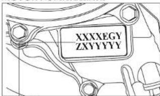 XXXXEGY ZXVYYY