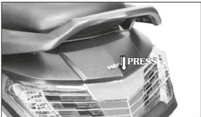 NEW PRESS